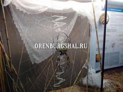 оренбургский пуховый платок в прато